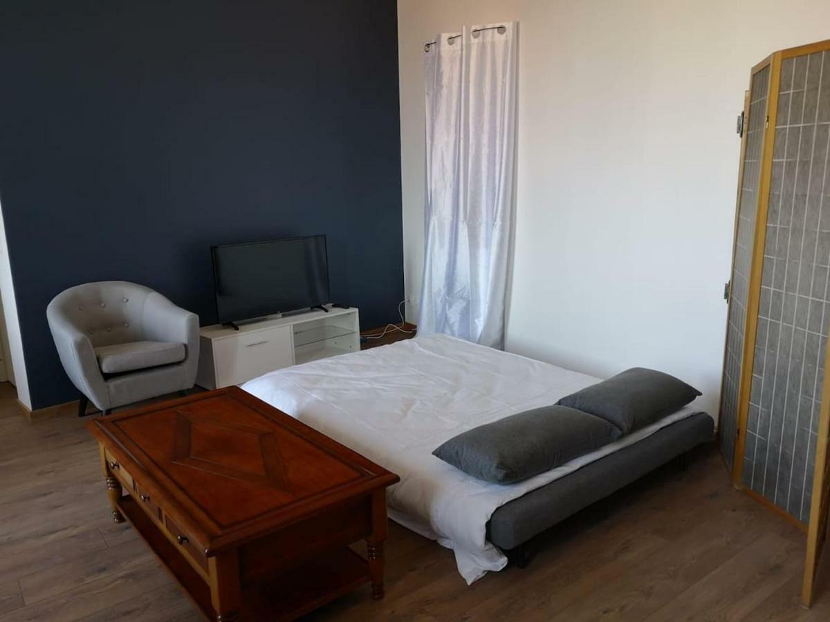 Appartement Spacieux Et Confortable La Roche-de-Glun Eksteriør bilde